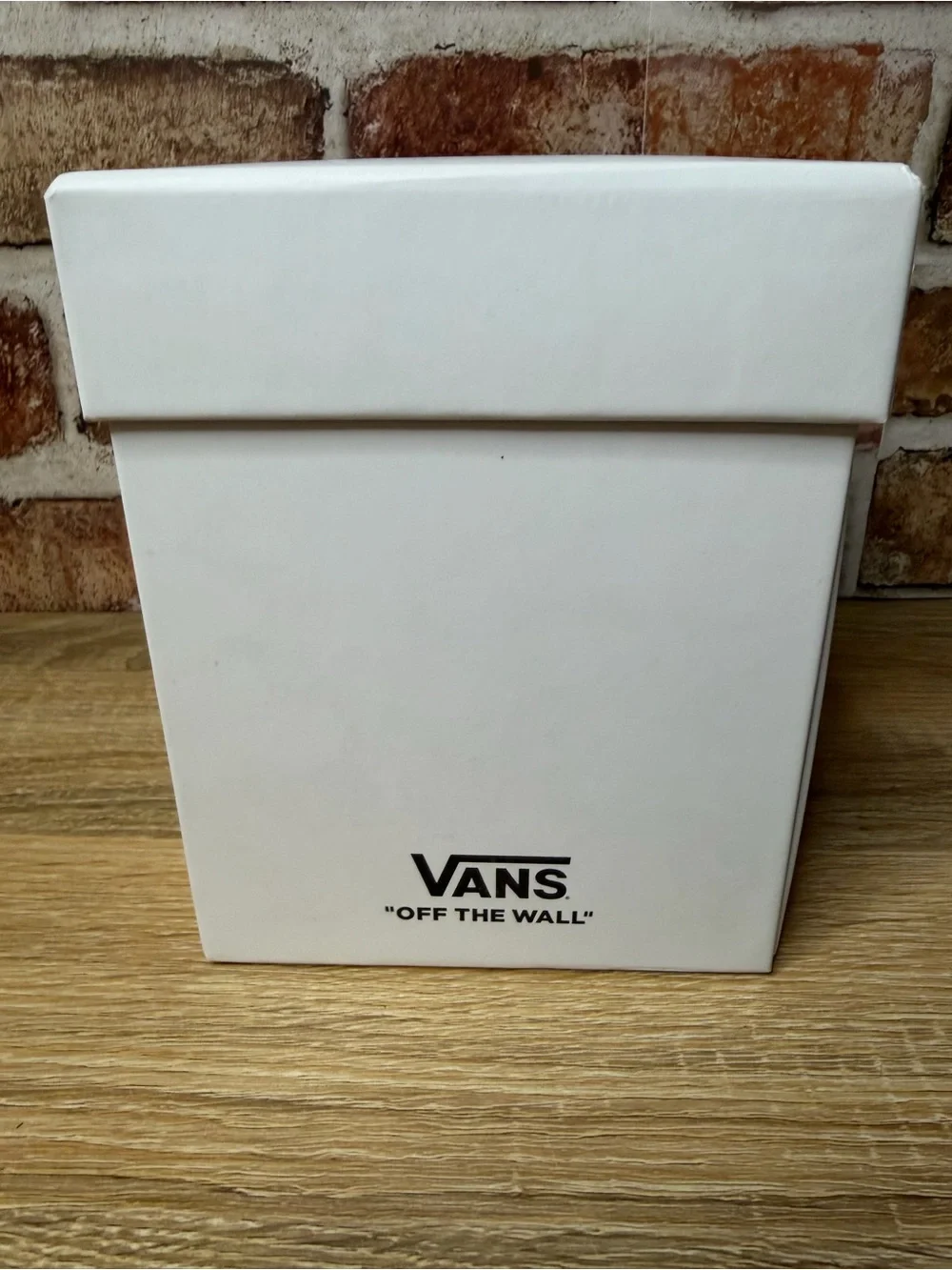 Vans Off The Wall Sk8-Hi Sneaker Limited Edition Snow Globe Promo Collectible